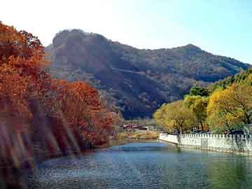 澳门天天免费精准大全，张家川回族自治seo建站